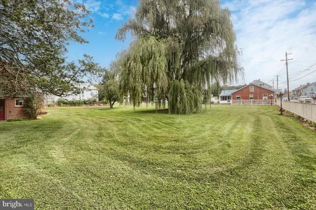 a view of swimming pool with lawn chairs and palm trees