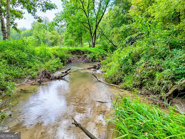 $675,000 | 63 Redwood Lane, Tiger, GA 30576