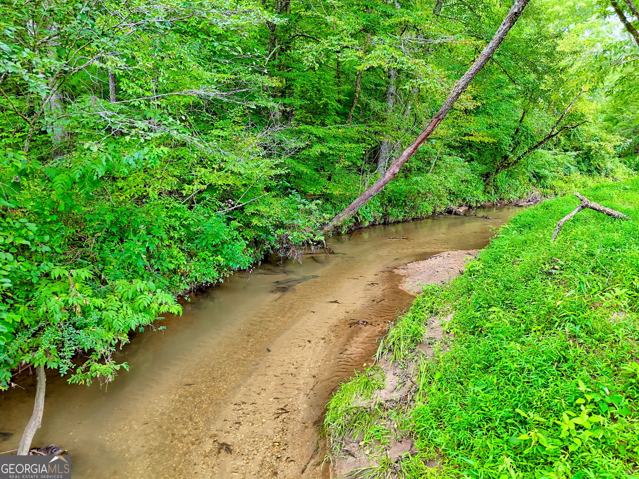 63 Redwood Lane Tiger, GA 30576 - Photo 78 of 84 an aerial view of a house with a yard and lake view