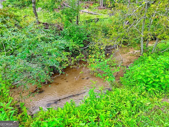 $675,000 | 63 Redwood Lane, Tiger, GA 30576