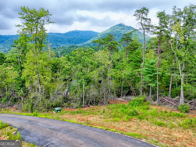 $675,000 | 63 Redwood Lane, Tiger, GA 30576