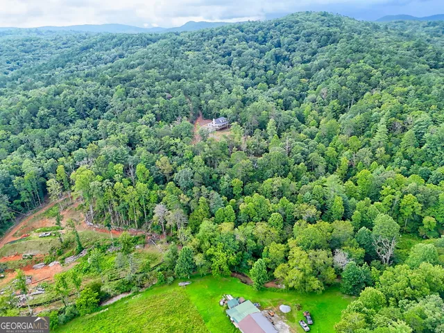 $675,000 | 63 Redwood Lane, Tiger, GA 30576