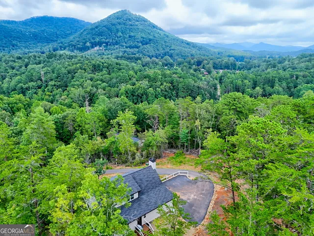 $675,000 | 63 Redwood Lane, Tiger, GA 30576