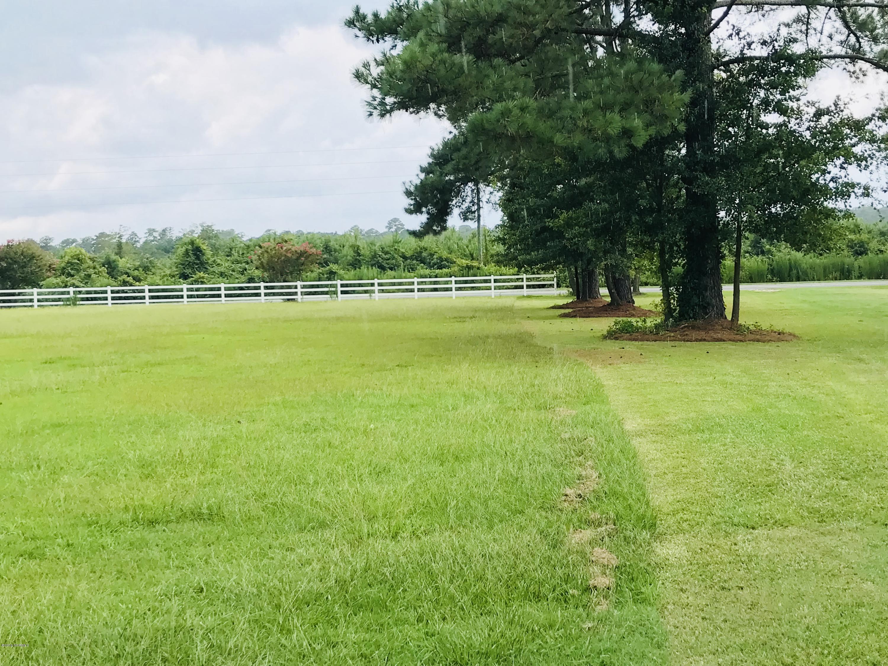 1480 Brewer Road Faison, NC 28341 - Photo 35 of 53 IMG_0089