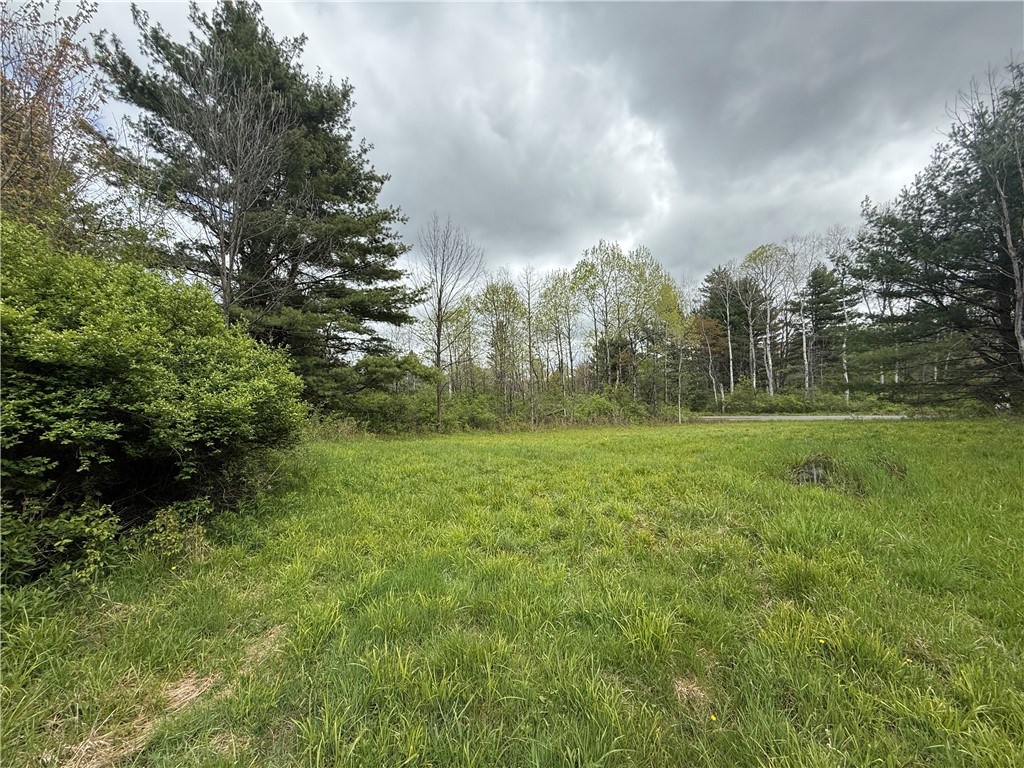 Caswell Road Freeville, NY 13068 - Photo 3 of 47