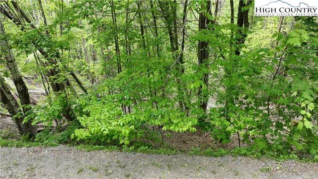 $49,900 | 206 Wild Daisy Lane, Beech Mountain, NC 28604