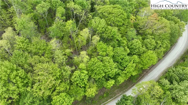 a view of a garden from a window