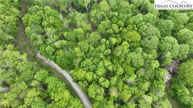 a view of outdoor space with lots of trees