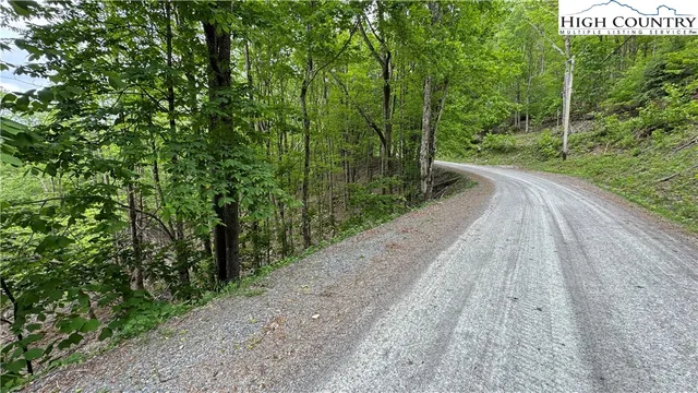 a view of a pathway with a park