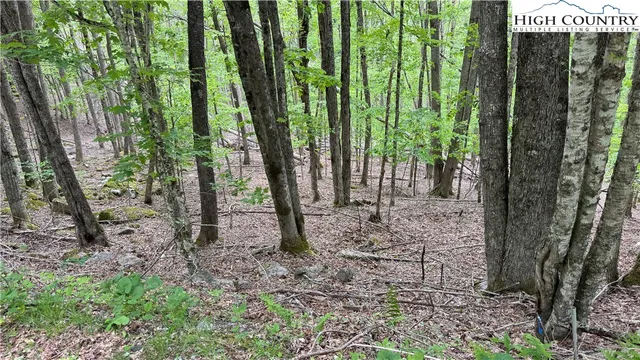 a view of outdoor space and green space
