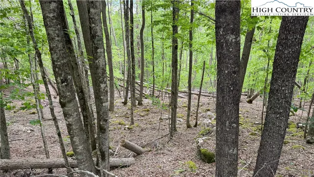 a view of outdoor space and garden