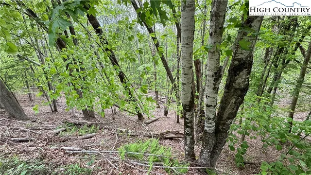 $49,900 | 206 Wild Daisy Lane, Beech Mountain, NC 28604