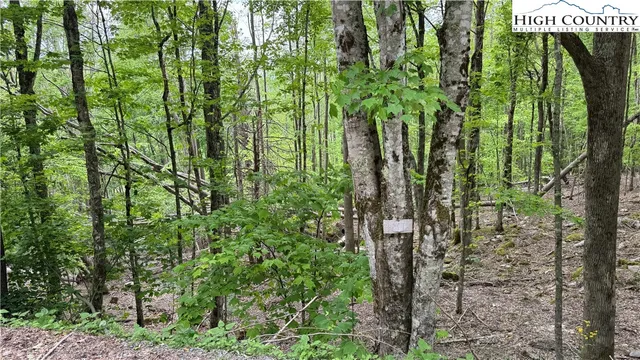 a map view of a garden