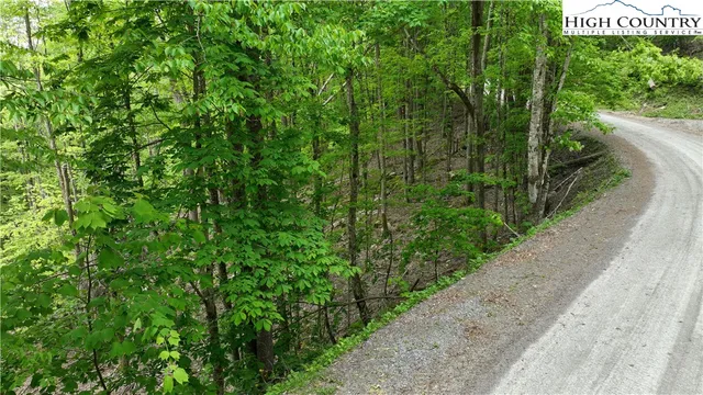 a view of a street with a tree