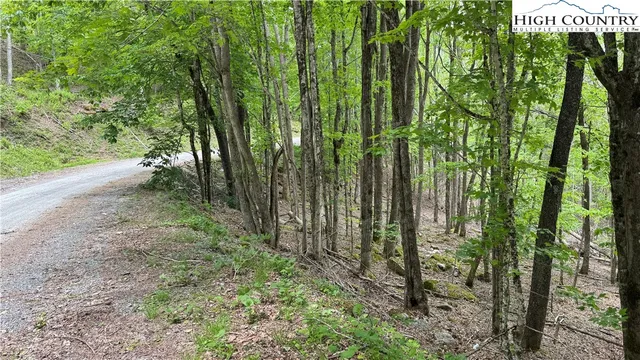 a view of outdoor space and garden