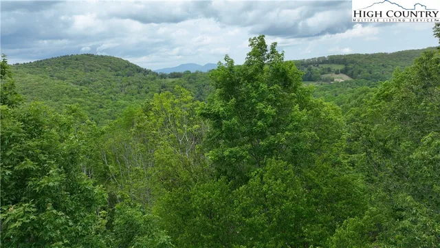 a view of a bunch of trees