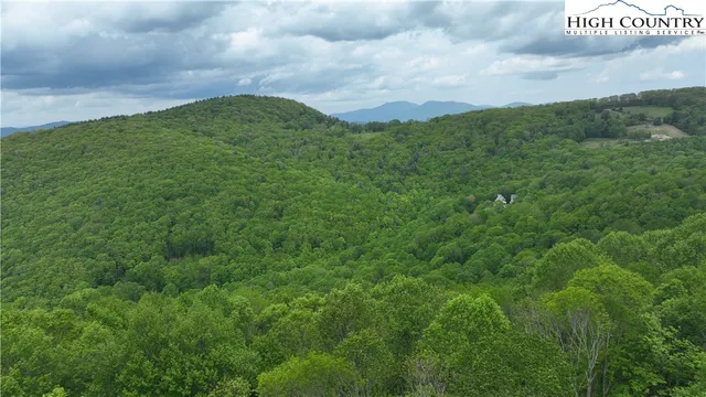 a view of a field with a mountain in the background