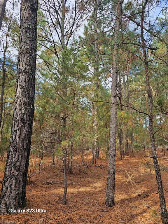 800 Windblow Road Jackson Springs, NC 27281 - Photo 1 of 5 Pines on 5.5 acre parcel