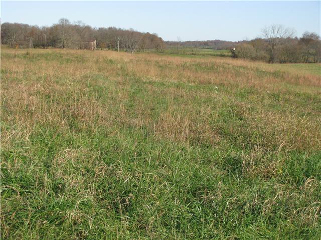 7 Gunn Road Adams, TN 37010 - Photo 5 of 5