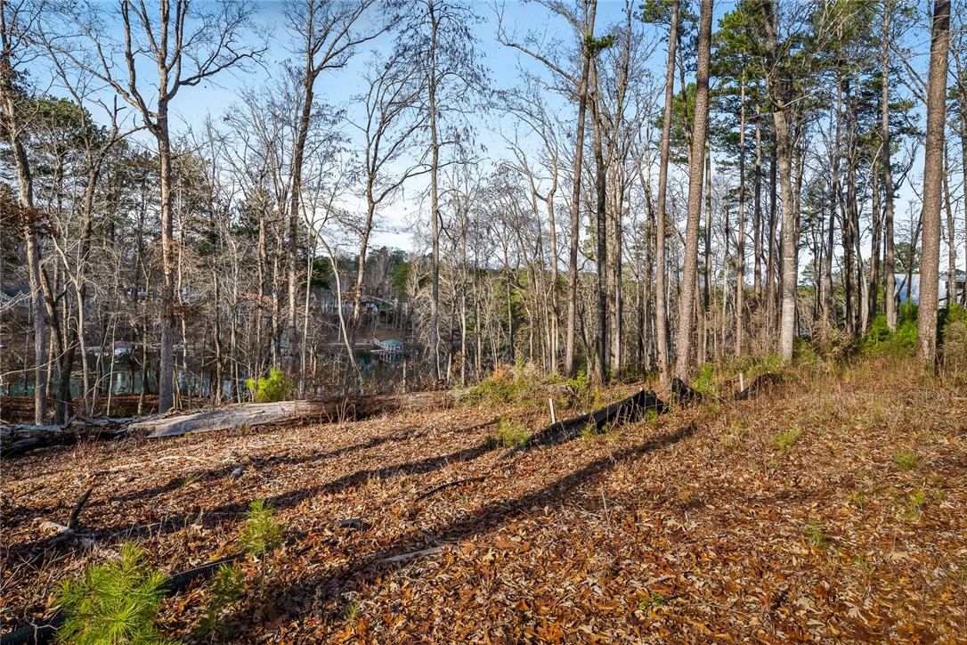 1377 Harbor Ridge Road Seneca, SC 29672 - Photo 5 of 23 Gallery Image 5