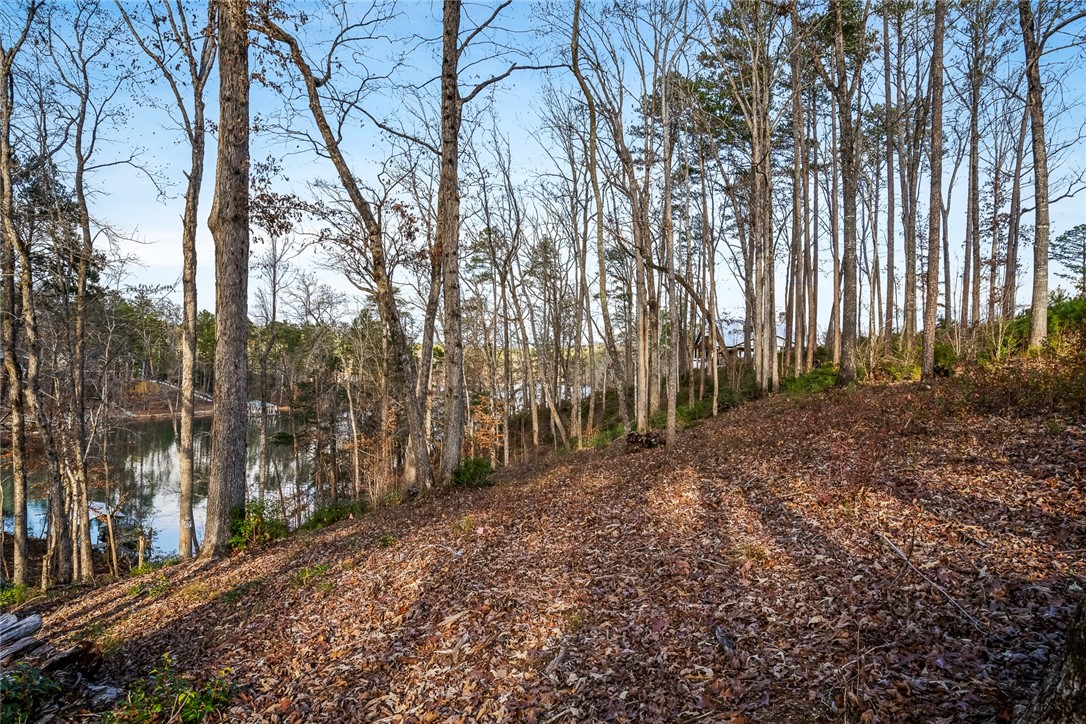 1377 Harbor Ridge Road Seneca, SC 29672 - Photo 7 of 23 Gallery Image 7