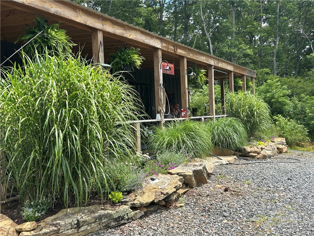 509 Grant Houck Road Todd, NC 28684 - Photo 7 of 43 a view of a garden with plants and large trees