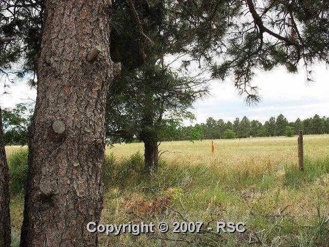 27105 Mid Jones Road Calhan, CO 80808 - Photo 14 of 16