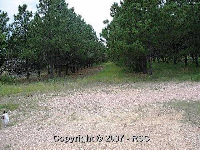 27105 Mid Jones Road Calhan, CO 80808 - Photo 15 of 16