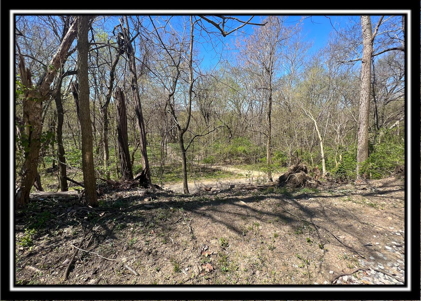 0 North Musselman Station Road Frankfort, OH 45628 - Photo 16 of 51 CT-15