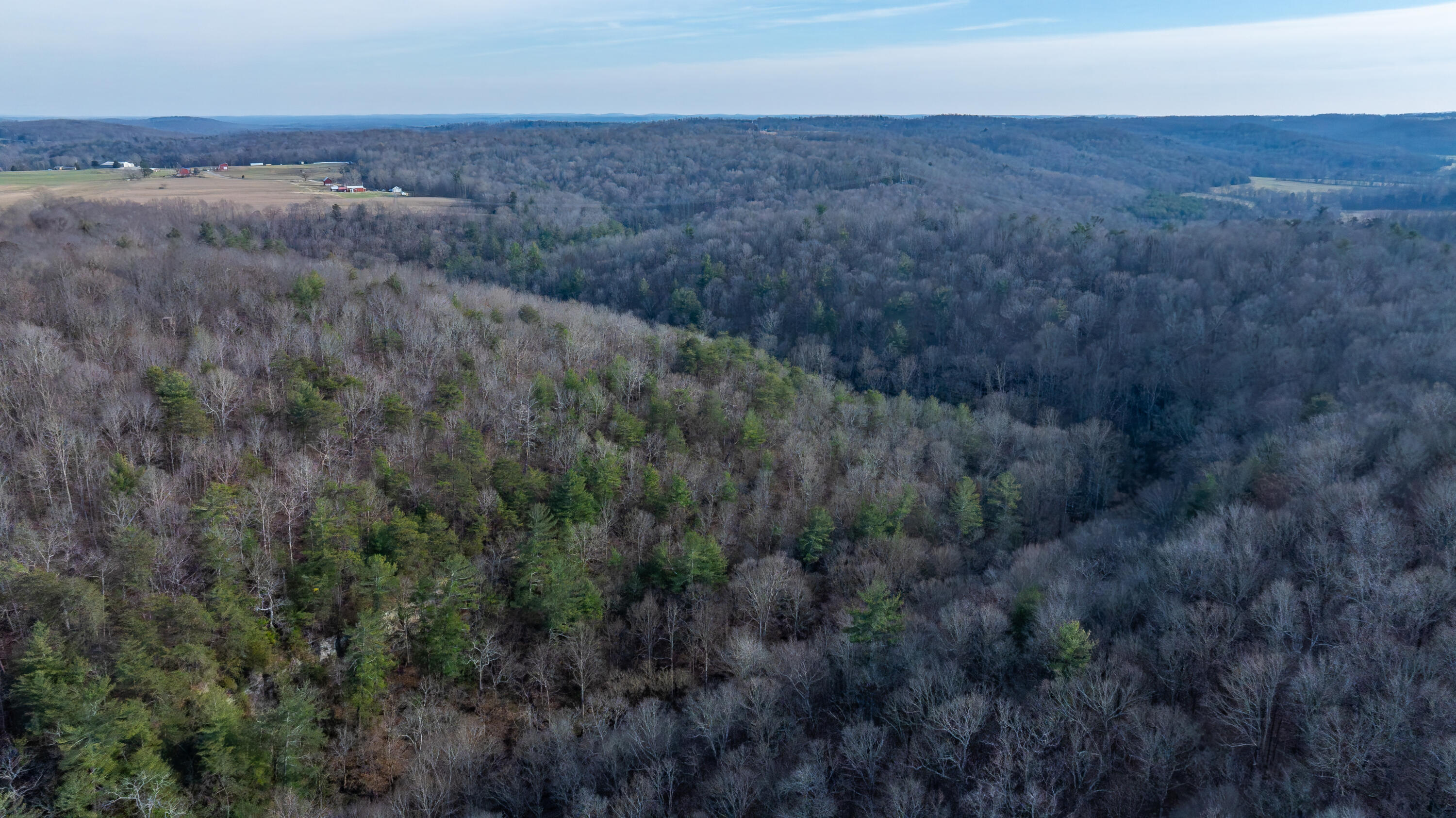 0 Coal Bank Road Sharon Grove, KY 42280 - Photo 8 of 16 DJI_20251212142240_0173_D-HDR