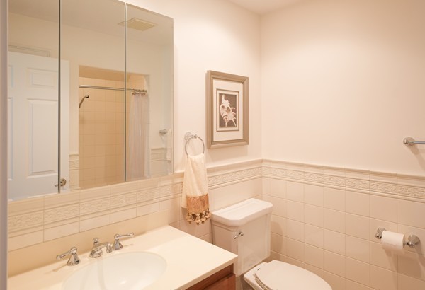 45 York Road Wayland, MA 01778 - Photo 21 of 30 a bathroom with a sink a toilet and shower