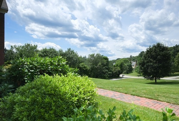 45 York Road Wayland, MA 01778 - Photo 30 of 30 a view of a big yard with a large trees