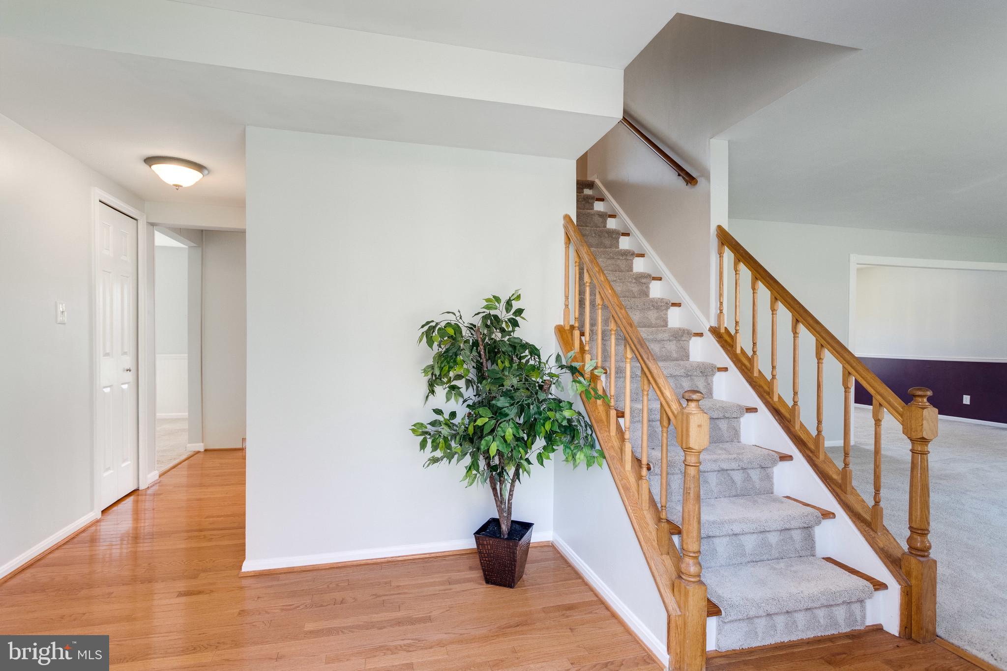9107 Rookings Court Springfield, VA 22153 - Photo 7 of 86 Elegant Foyer Entrance
