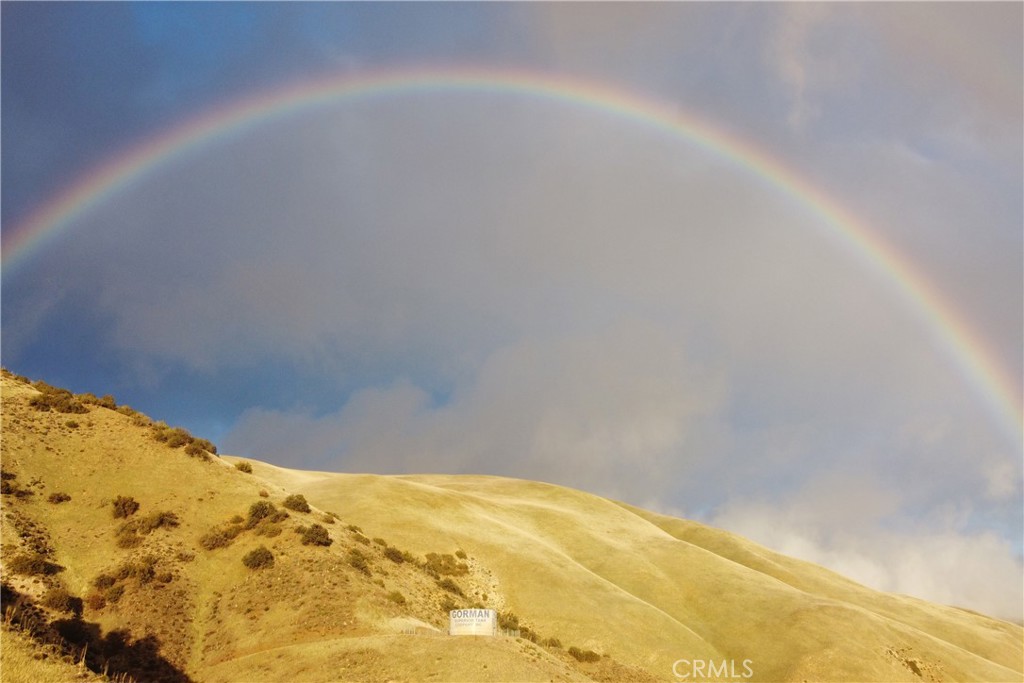 49851 Gorman Post Road Lebec, CA 93243 - Photo 36 of 42 a view of a big yard