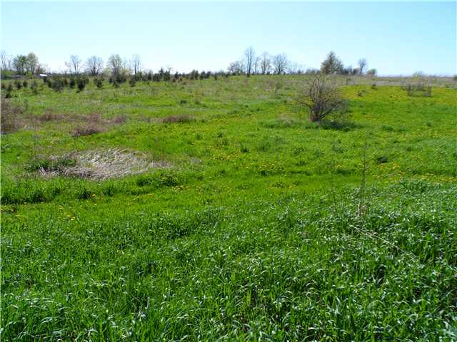 867 Telephone Road Henrietta, NY 14586 - Photo 1 of 1 Land