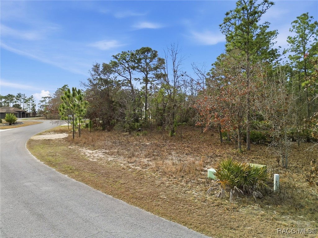 2 Nephthytis Court Homosassa, FL 34446 - Photo 6 of 21