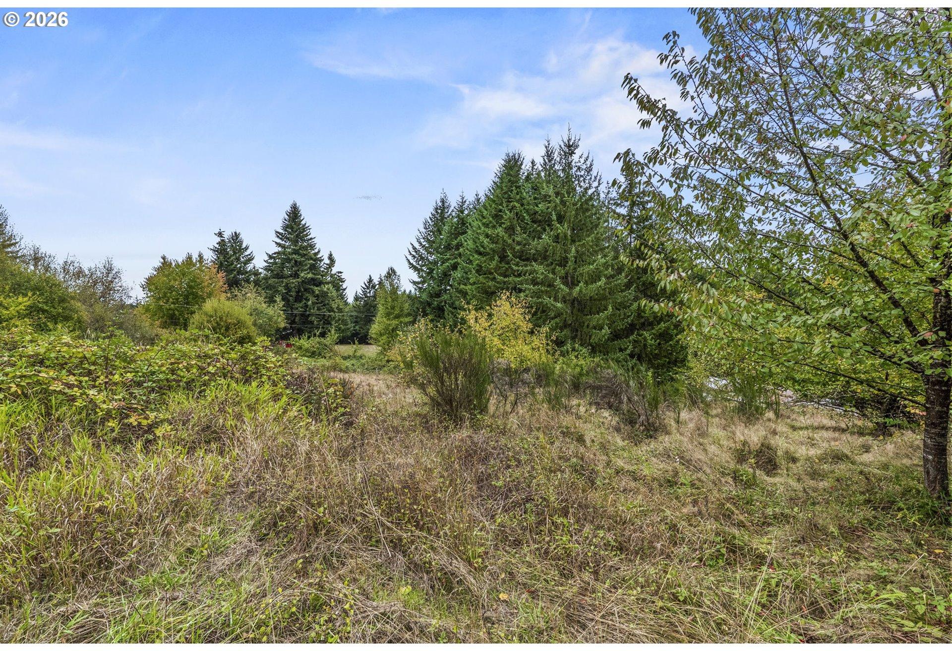 Walker Road, Unit 21290 Rainier, OR 97048 - Photo 9 of 18 Gallery Image 9