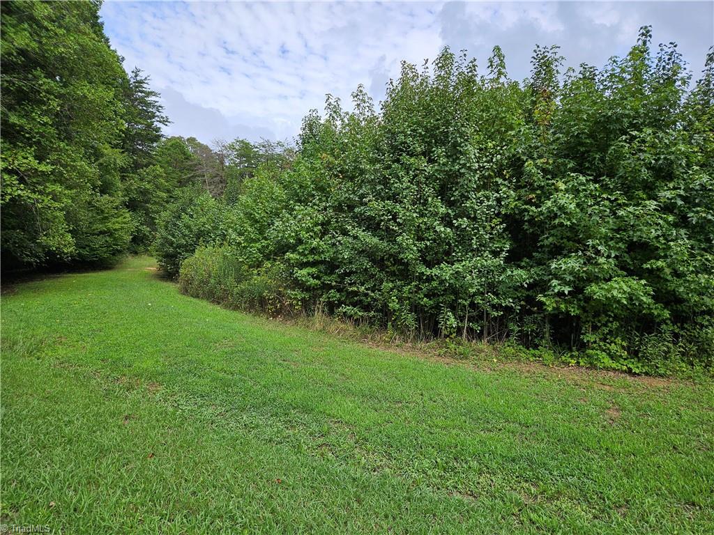 Xx 13-acres Xx 13-acres Dennis Road Walnut Cove, NC 27052 - Photo 1 of 6