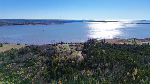 $129,000 | Lot 4 Holmes Bay Farm, Whiting, ME 04691