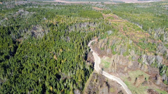 $129,000 | Lot 4 Holmes Bay Farm, Whiting, ME 04691
