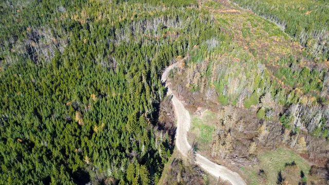 $129,000 | Lot 4 Holmes Bay Farm, Whiting, ME 04691