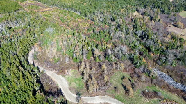 $129,000 | Lot 4 Holmes Bay Farm, Whiting, ME 04691