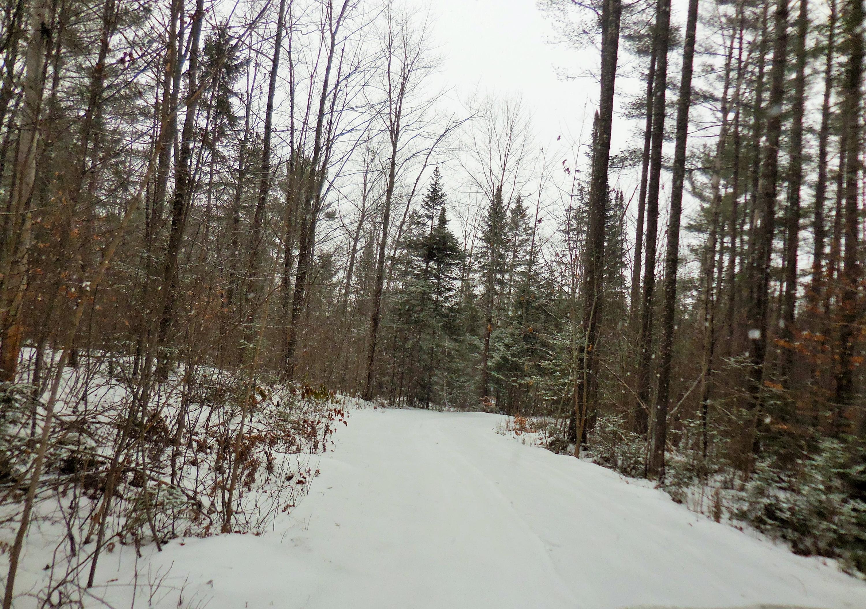 258 Townhouse Road Sangerville, ME 04479 - Photo 47 of 48 46