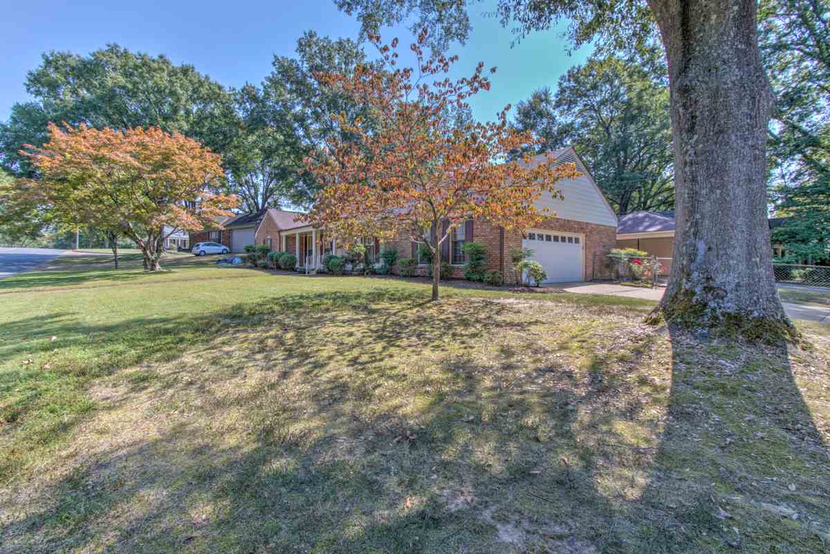 6421 Messick Road Memphis, TN 38119 - Photo 2 of 22 Gallery Image 2