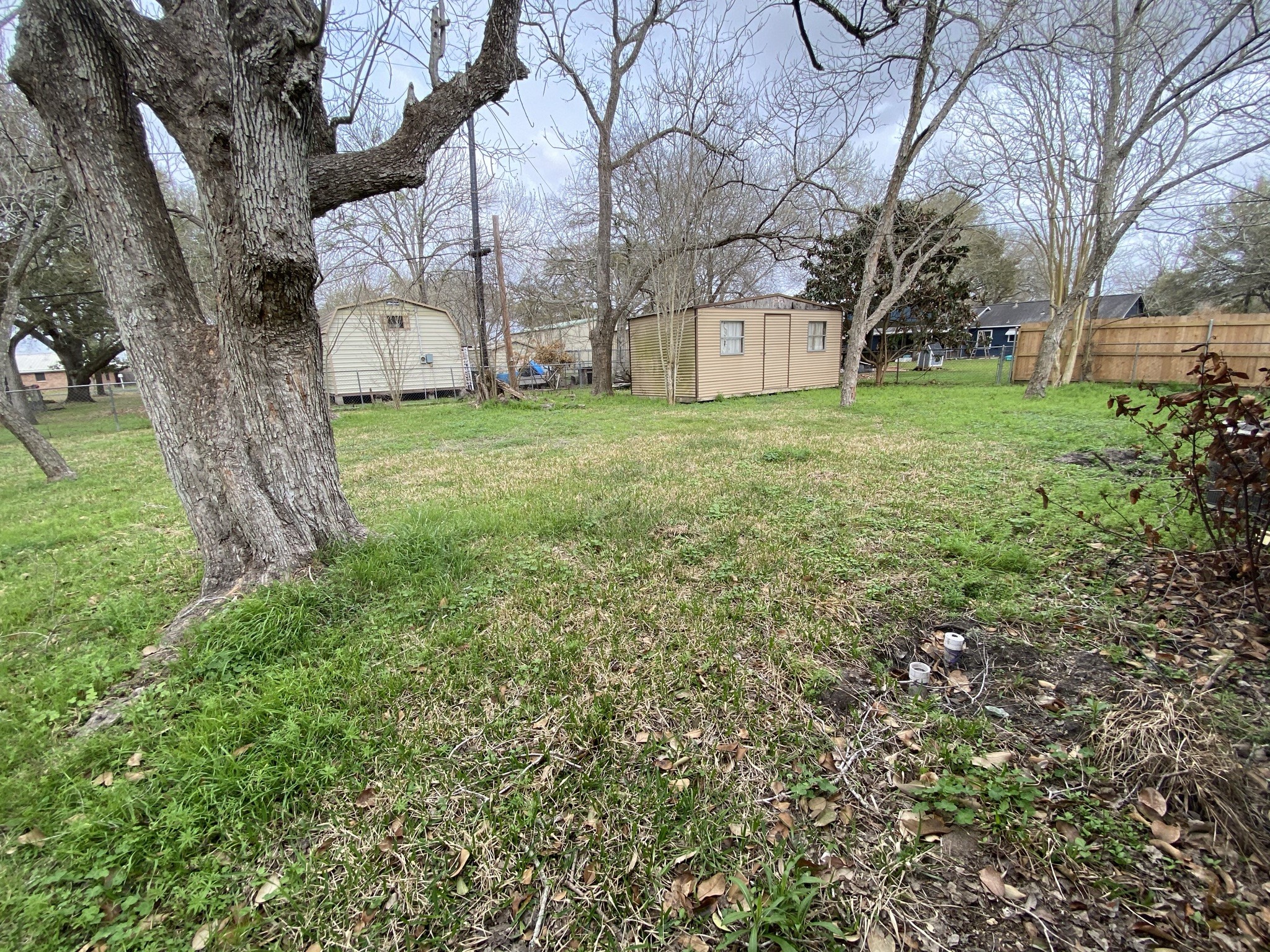 802 Mable Street El Campo, TX 77437 - Photo 3 of 15 a view of a yard with a tree
