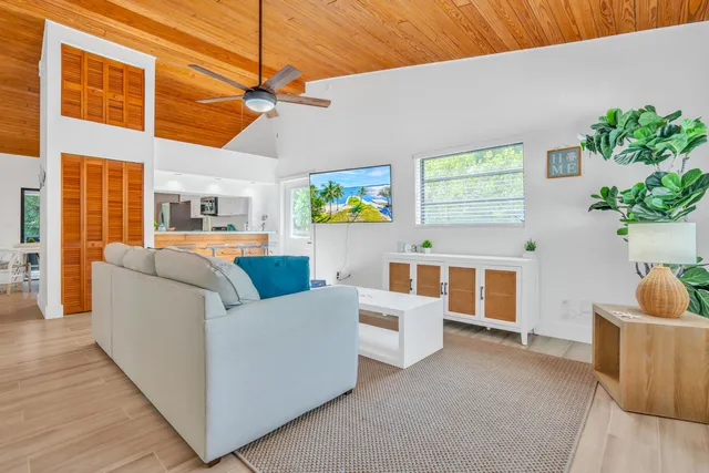 a view of a living room with furniture and a potted plant