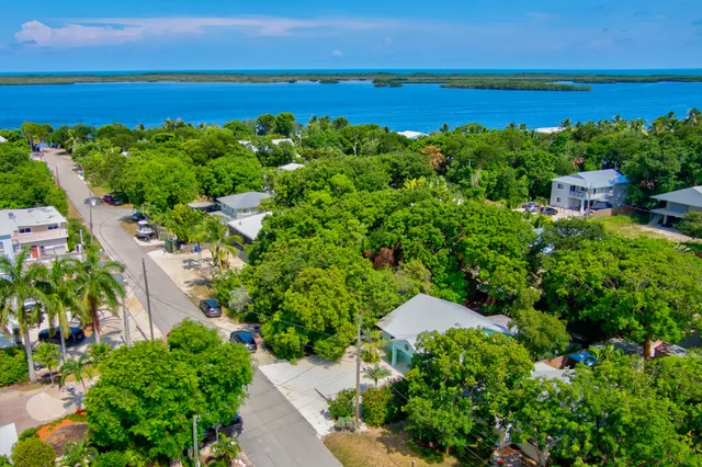 an aerial view of a houses with a yard