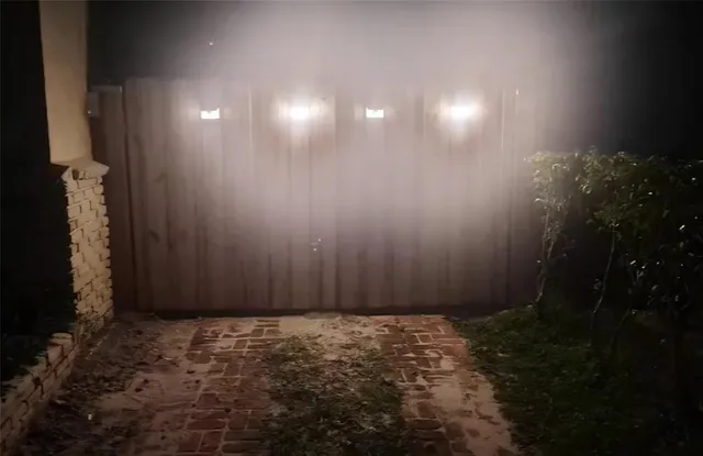 a backyard of a house with potted plants and large tree