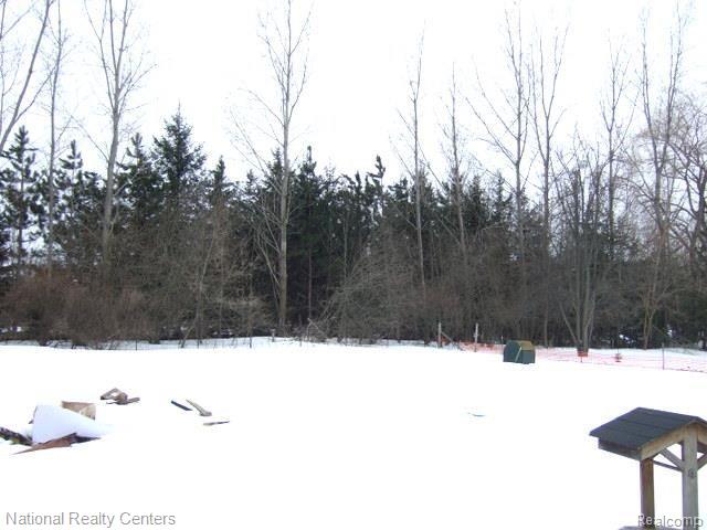 897 Chase Lake Road Howell, MI 48855 - Photo 3 of 19 Heavily Treed Lot Line.jpg