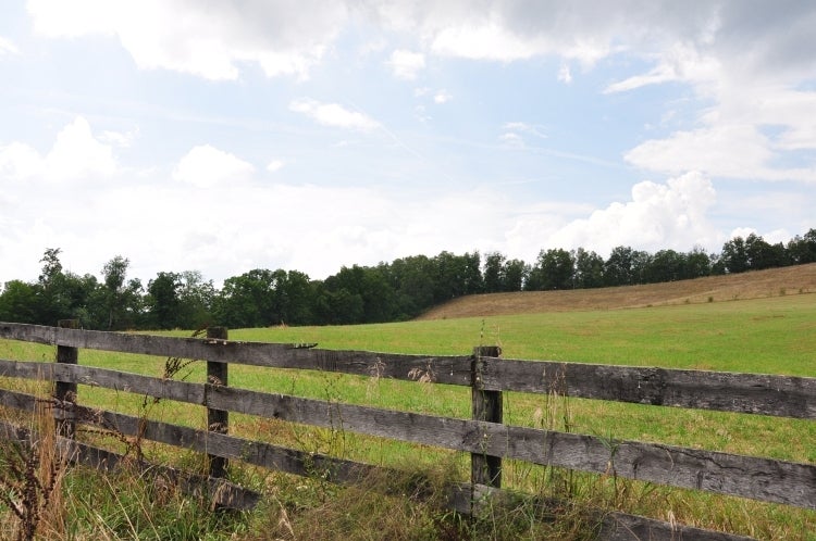 500 River Road Ronceverte, WV 24970 - Photo 20 of 26 Totten Farm on River Rd Tour 20